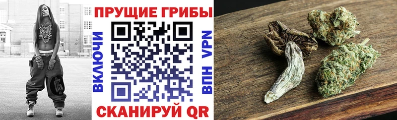 Галлюциногенные грибы мухоморы Холмск