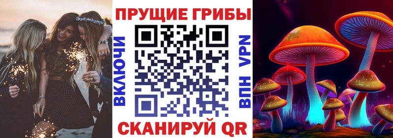 Псилоцибиновые грибы Magic Shrooms  Холмск 